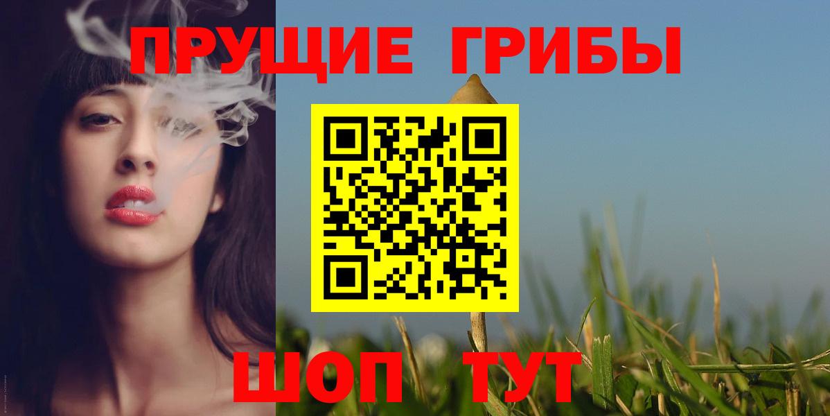 Галлюциногенные грибы Psilocybe Большой Камень