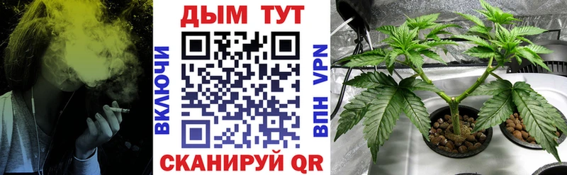 Бошки марихуана Amnesia  KRAKEN ТОР  Большой Камень  купить закладку 